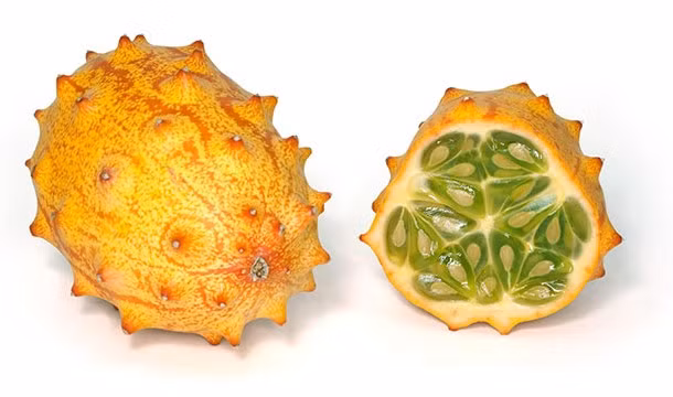 Quả Horned Melon, tên khoa học là Cucumis metuliferus, có ngoại hình nửa dưa chuột nửa dưa hấu, quả Horned Melon còn được coi là tổ tiên của những loại dưa trồng khác. Mặc dù có nguồn gốc ở châu Phi, cận Sahara nhưng hiện nay loại trái cây này đã được trồng khắp thế giới và tại Mỹ nó được biết đến như trái cây đặc sản với nhiều tiềm năng.