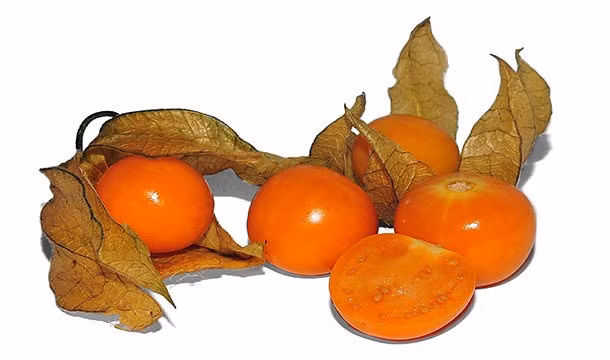 Quả Physalis, thuộc chi tầm bóp, được tìm thấy chủ yếu ở Mỹ, loại quả kỳ lạ này có hình dạng giống như một quả cà chua nhưng hương vị lại giống như dâu tây, khá ngon miệng, ngon mắt.