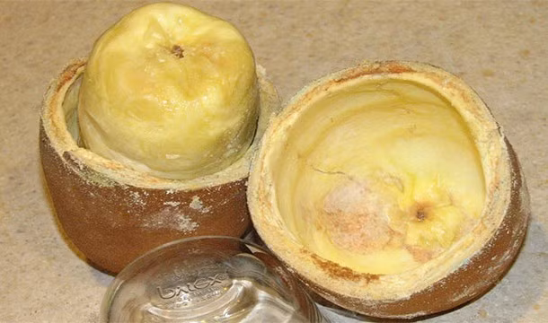 Quả Cupuaçu, tên khoa học là Theobroma grandiflorum, được trồng khắp lưu vực sông Amazon, loài trái cây đặc biệt này được biết đến với hương vị độc đáo, thơm ngon. Mặc dù ngoại hình của nó không được bắt mắt nhưng hương vị lại là sự kết hợp tuyệt vời của lê và chuối.