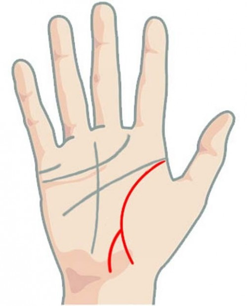 Đường sinh đạo ngắn, mảnh là người có sức khỏe yếu, dễ mắc bệnh đường tiêu hóa.