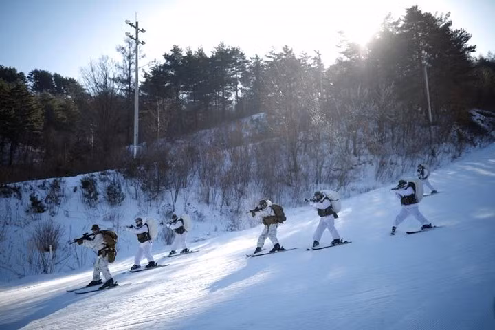 Phương tiện di chuyển chính của họ là ván trượt tuyết.