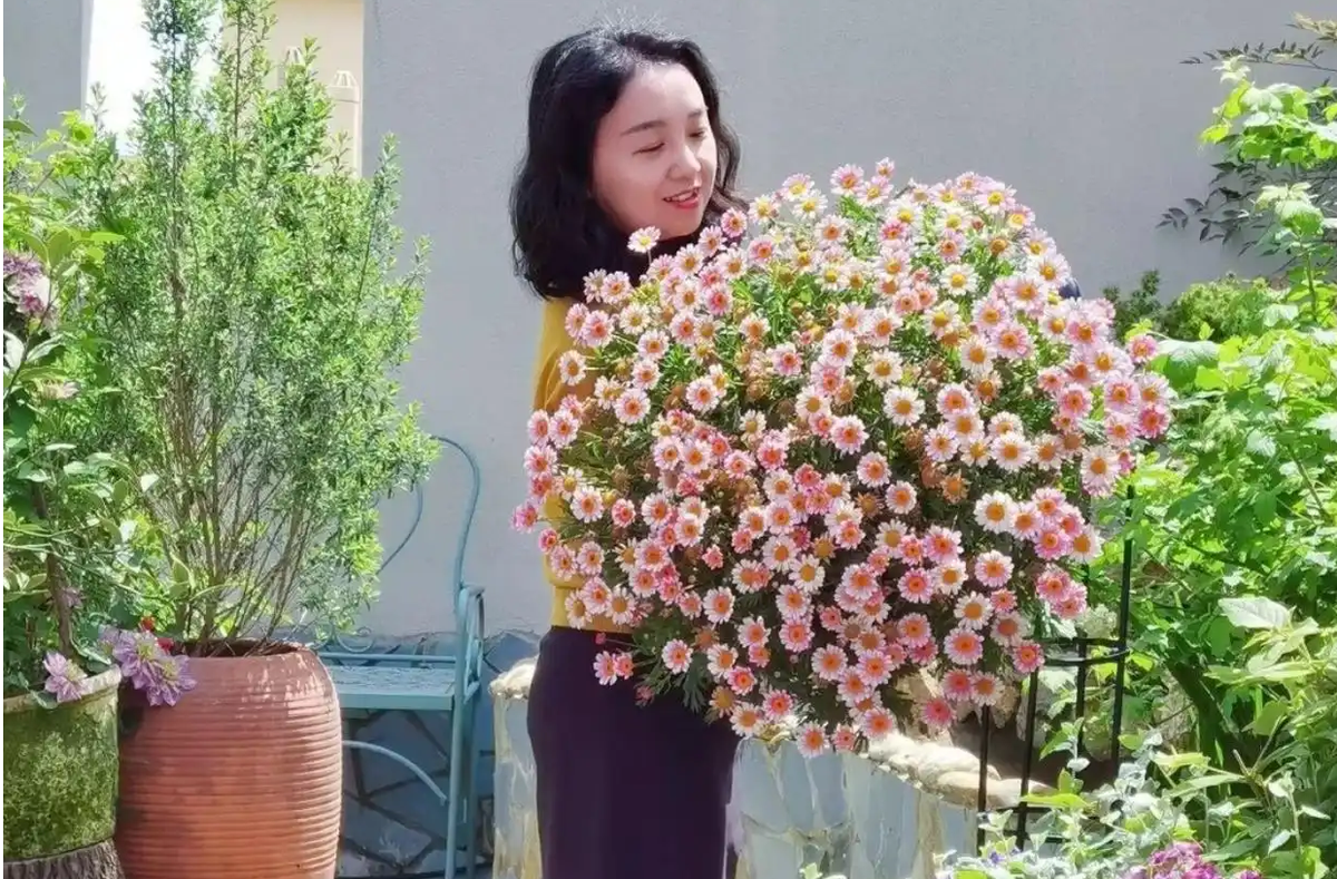 Cô giáo biến khu nhà của mình thành vườn hoa đẹp rực rỡ - Hình 5 Co giao bien khu nha cua minh thanh vuon hoa dep ruc ro-Hinh-5