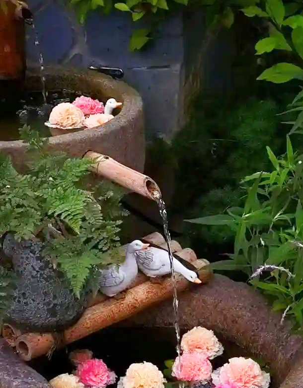 Cô giáo biến khu nhà của mình thành vườn hoa đẹp rực rỡ - Hình 7 Co giao bien khu nha cua minh thanh vuon hoa dep ruc ro-Hinh-7