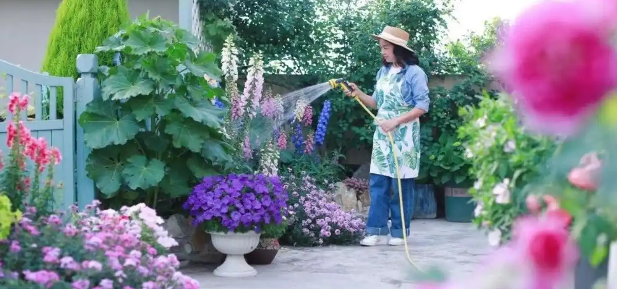 Cô giáo biến khu nhà của mình thành vườn hoa đẹp rực rỡ - Hình 10 Co giao bien khu nha cua minh thanh vuon hoa dep ruc ro-Hinh-10