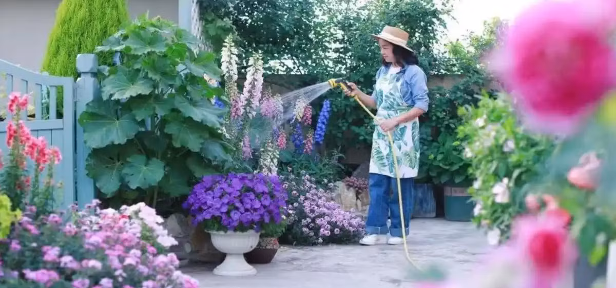 Cô giáo biến khu nhà của mình thành vườn hoa đẹp rực rỡ - Hình 10 Co giao bien khu nha cua minh thanh vuon hoa dep ruc ro-Hinh-10