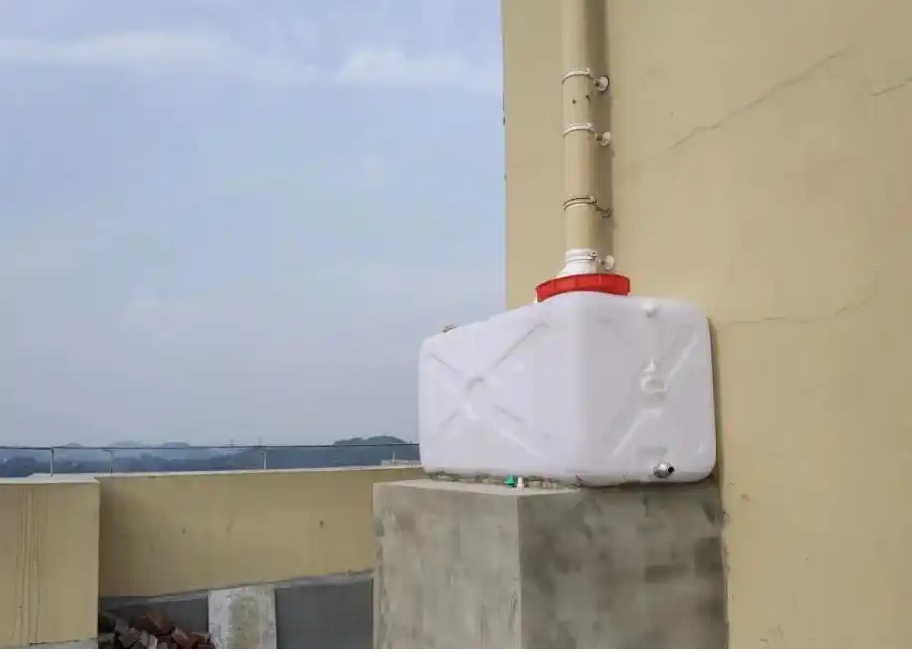 Cô giáo biến khu nhà của mình thành vườn hoa đẹp rực rỡ - Hình 4 Co giao bien khu nha cua minh thanh vuon hoa dep ruc ro-Hinh-4