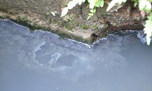 Hệ thống thoát nước xuống cấp nghiêm trọng.