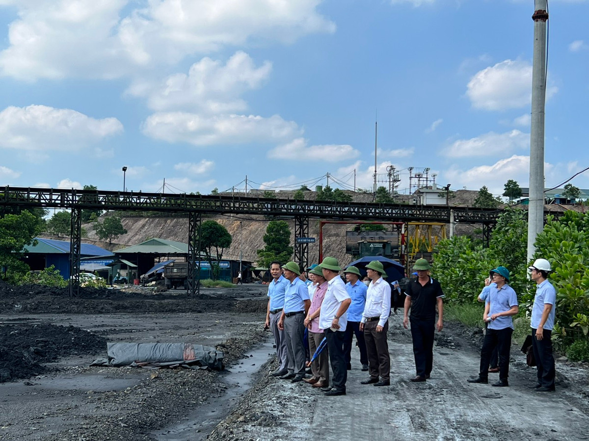 Hai Duong: Cty Kim Boi bi to no min nut nha dan, nhieu TNLD chet nguoi?-Hinh-10