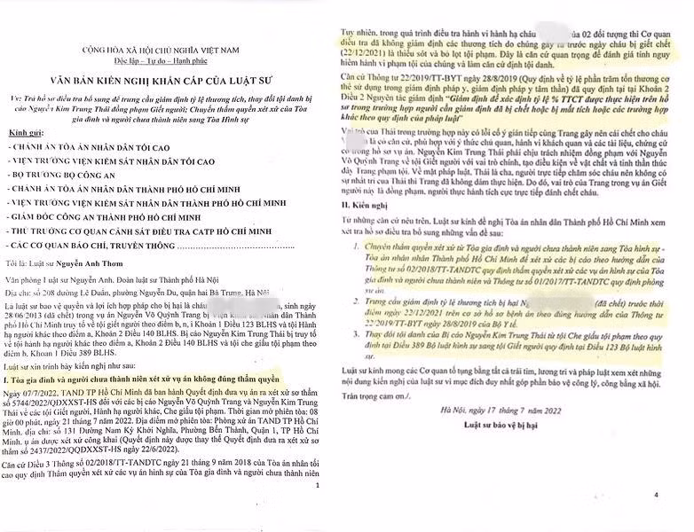 Be 8 tuoi tu vong do bi bao hanh: Vi sao luat su kien nghi tra ho so?-Hinh-2