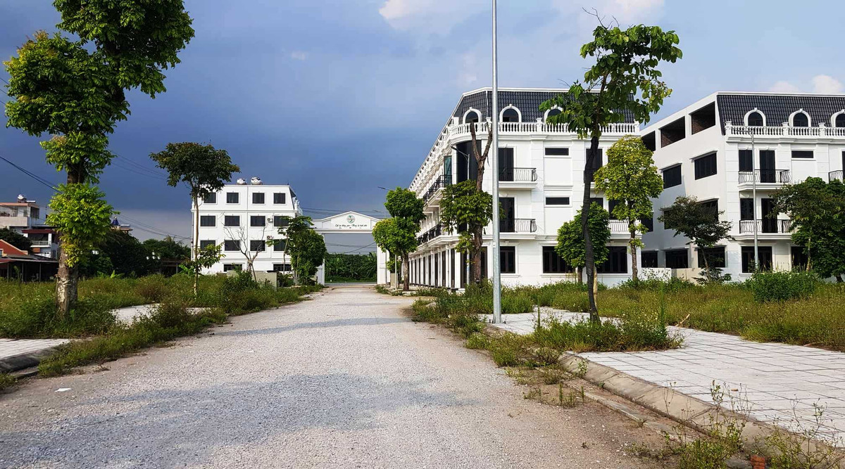 Cây xanh đã được trồng tại dự án.