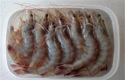 Tôm bảo quản thế nào để cả tháng vẫn “tươi roi rói”? - Hình 2 Tom bao quan the nao de ca thang van “tuoi roi roi”?-Hinh-2
