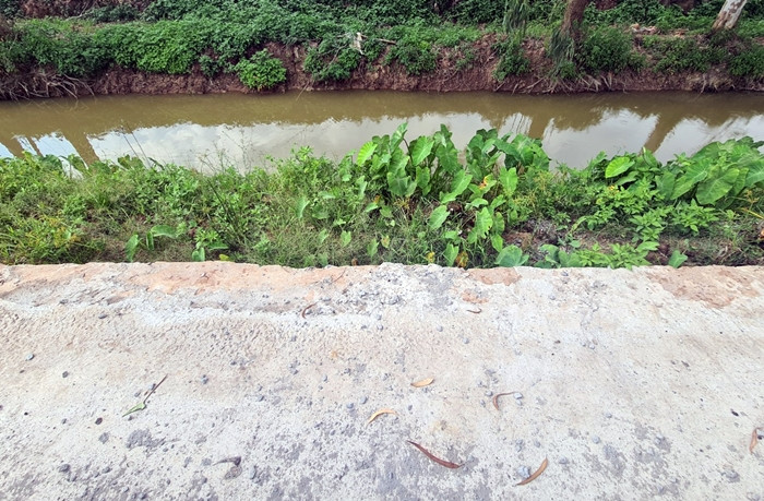 Một số vị trí khác thì nền đường được phủ bê tông khá “mỏng” và không đồng đều.