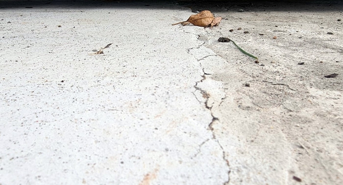 Không khó để nhìn thấy những vết nứt lớn trên bề mặt bê tông của dự án này.