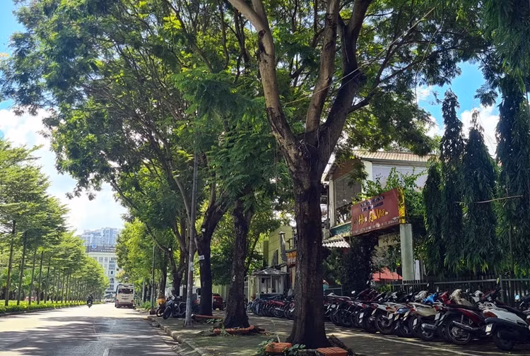 KLHTTQG Mỹ Đình đang thực hiện 5 dự án liên doanh, liên kết, hợp tác kinh doanh, trong đó có dự án khu Dịch vụ văn hóa du lịch Hoa An Viên (2.635 m2).