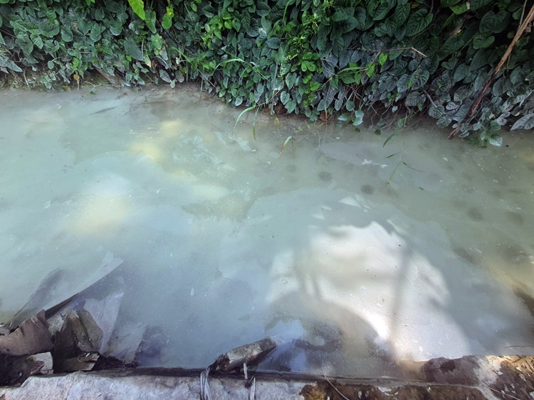 Màu trắng xóa của nước thải bê tông chạy khắp mương nước. Cùng với đó là những lớp bụi bê tông màu trắng phủ đầy bề mặt lá cây cỏ mọc xung quanh.