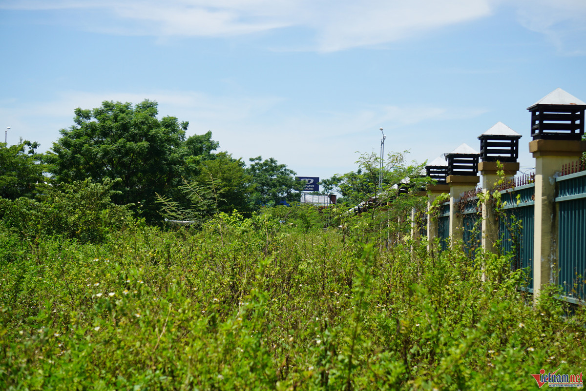 Do công trình không hoạt động cho nên diện tích đất còn lại phía trước cổng xuất hiện cỏ dại mọc cao hơn đầu người. Hệ thống phòng điều hành, phòng y tế… đóng cửa. (Ảnh: Vietnamnet).