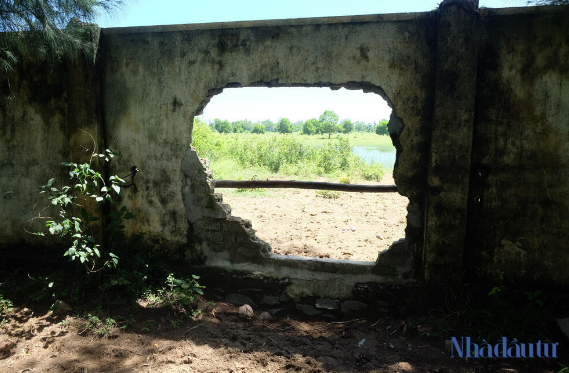 Người dân địa phương sử dụng lối đi này để chăn, thả trâu bò vào khu đất ăn cỏ cho đỡ "xót" diện tích đất rộng lớn bỏ hoang. (Ảnh: Nhà đầu tư).