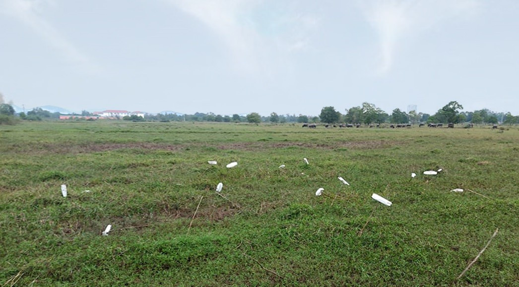 Một góc vùng đất bị bỏ hoang của Dự án Trường Đại học Công nghệ Vạn Xuân. (Ảnh: Nhật Lân).