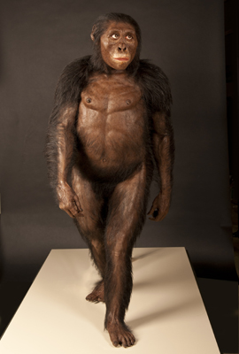 Điều này giúp cung cấp cái nhìn sâu rộng hơn về quá khứ tiền sử của loài người, mặc dù không thể xác định chính xác 100%.