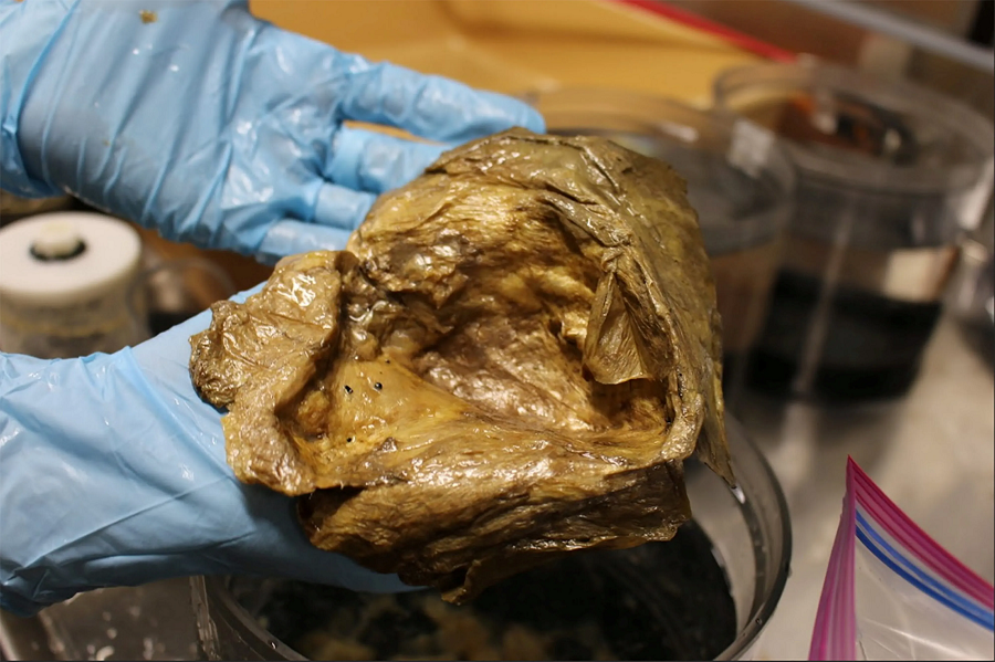 Các nhà khoa học và chuyên gia thám hiểm đại dương hy vọng rằng phát hiện này sẽ cung cấp thông tin mới về sự sống dưới đáy biển và giúp thu hẹp khoảng cách trong hiểu biết về hành tinh của chúng ta.