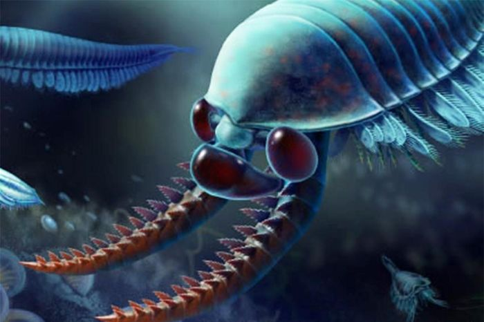 Được gọi là Kylinxia, " quái thú" này đã được tái tạo từ các tảng đá hóa thạch và mang những đặc điểm độc đáo, bao gồm ba mắt trên đầu và một đôi chi được cho là dùng để bắt con mồi.