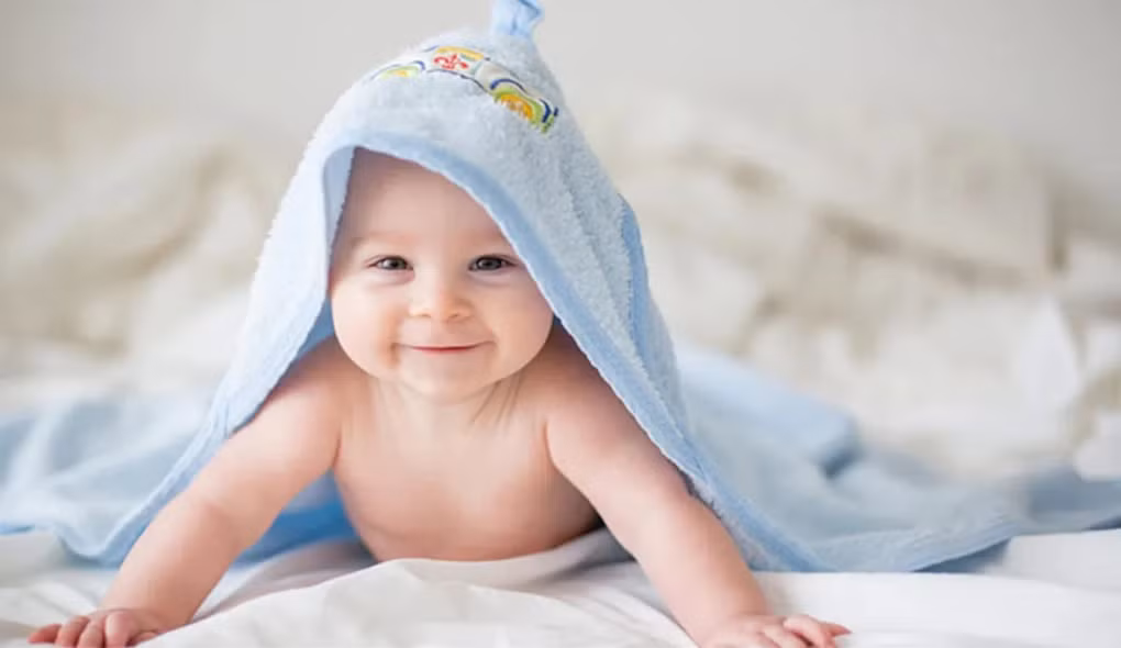 2. Trẻ sơ sinh ban đầu có khoảng 300 chiếc xương và nhiều sụn, nhưng sau thời gian, nhiều xương hợp nhất lại, chỉ còn lại 206 xương tạo nên bộ xương tiêu chuẩn như người trưởng thành.