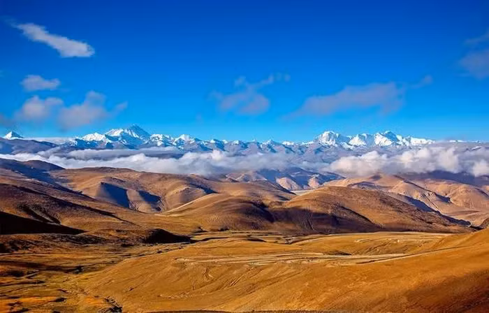 Nhiệt độ tăng nhanh tại cao nguyên Tây Tạng, nơi rêu Takakia sinh sống, và các sông băng đang tan chảy mạnh. Do đó, loài rêu này đang gặp nguy cơ suy giảm quần thể.