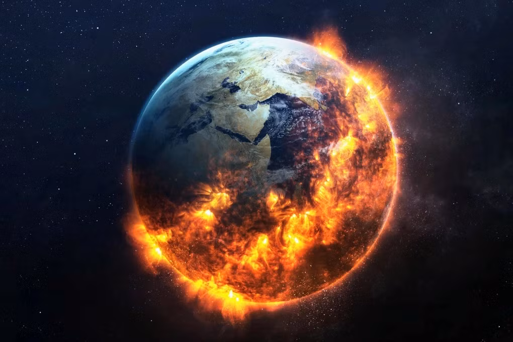 Tuy nhiên, trong vài năm gần đây, môi trường sống tự nhiên của loài rêu này đã bị tác động đáng kể do biến đổi khí hậu diễn ra nhanh chóng.