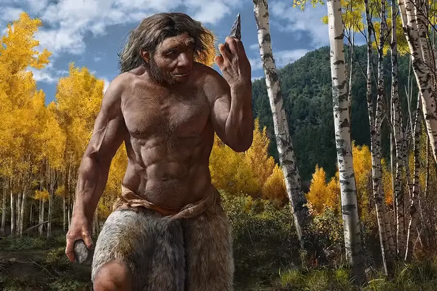 Cấu trúc gỗ được phát hiện có thể đã được dựng lên để làm lối đi hoặc bề mặt phẳng để lưu trữ đồ, dụng cụ, thực phẩm hoặc để dựng lều. Điều này cho thấy tổ tiên của loài người đã sử dụng gỗ một cách có chủ ý và phức tạp, đòi hỏi kỹ năng và khả năng lập kế hoạch.