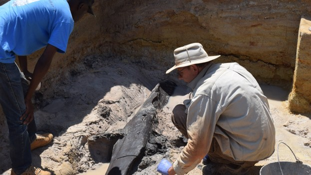 Ngoài ra, các nhà khoa học đã tìm thấy nhiều công cụ bằng gỗ khác cùng niên đại tại địa điểm này, nhưng chưa có bộ xương loài người được phát hiện.