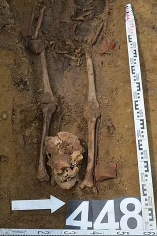 Những người bị nghi ngờ là ma cà rồng thường có những đặc điểm như trông nhợt nhạt, phải tránh ánh sáng hoặc phải tiếp tục bổ sung máu động vật do thiếu máu nghiêm trọng, có thể do các vấn đề di truyền hoặc bệnh lao.