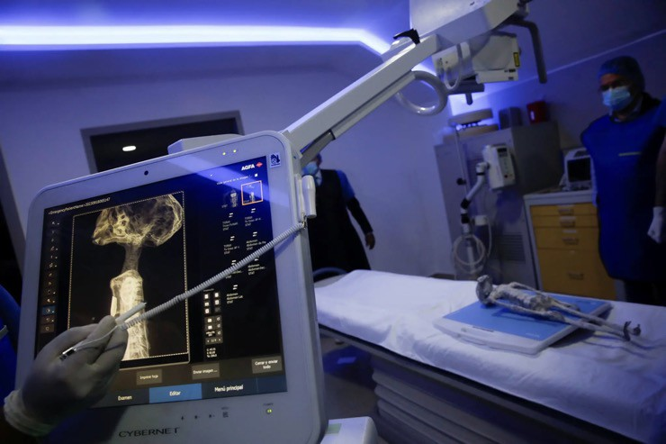 Giám đốc Viện Nghiên cứu Khoa học Sức khỏe Mexico, Jose Zalce Benitez, cho rằng nghiên cứu đã chứng minh hai "xác người ngoài hành tinh" có bộ xương riêng và không phải do con người tạo ra.