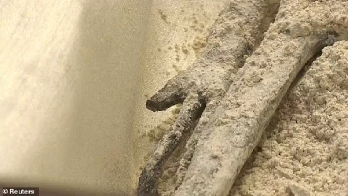 Có ý kiến cho rằng chạm trán người ngoài hành tinh có thể đem lại lợi ích và tiến xa hơn trong hợp tác quốc tế. Nhưng dù có nhiều quan điểm và ý kiến khác nhau, việc xác định xem hai bộ hài cốt này thực sự có liên quan đến người ngoài hành tinh hay không vẫn còn là câu hỏi đang gây sự quan tâm và tranh cãi.