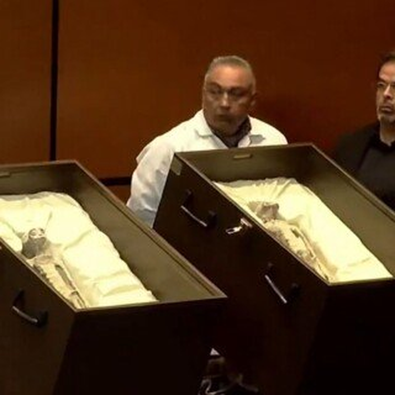 Các chuyên gia Mexico không tìm thấy bất kỳ bằng chứng nào cho thấy sự can thiệp hoặc tác động đối với hộp sọ của hai bộ hài cốt nghi là người ngoài hành tinh này.