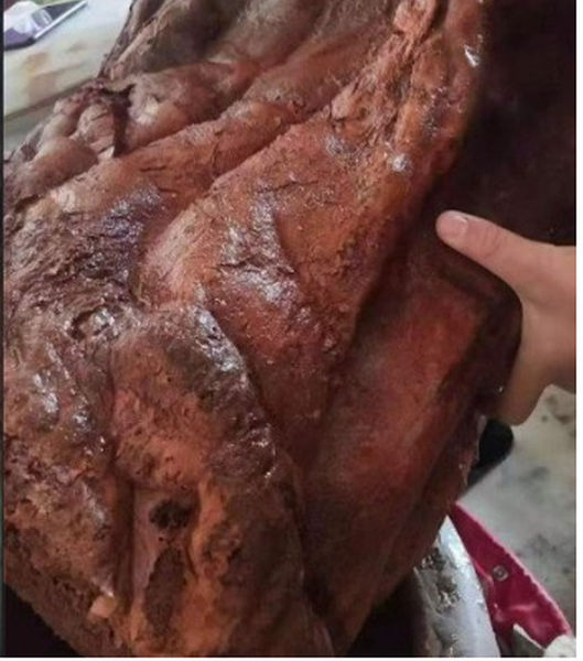 Ông Mưu bắt đầu nghi ngờ nó có thể là nấm linh chi Thái tuế quý giá và ngâm nó vào nước. Sau một ngày, trọng lượng của khúc gỗ đã tăng lên 60 kg sau khi hút hết nước.