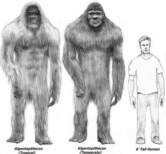 Nhiều bằng chứng vật lý như dấu chân và lông thú đã được thu thập tại hiện trường vụ việc, nhưng các nhà khoa học vẫn hoài nghi và cho rằng đó có thể chỉ là trò lừa đảo.