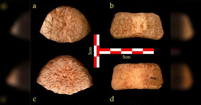Đặc biệt trong văn hóa Long Sơn cách đây 5.000 năm tại Trung Quốc có bộ hài cốt cao tới 1,9m và chiều cao lớn hơn được tìm thấy ở nhiều nơi khác.