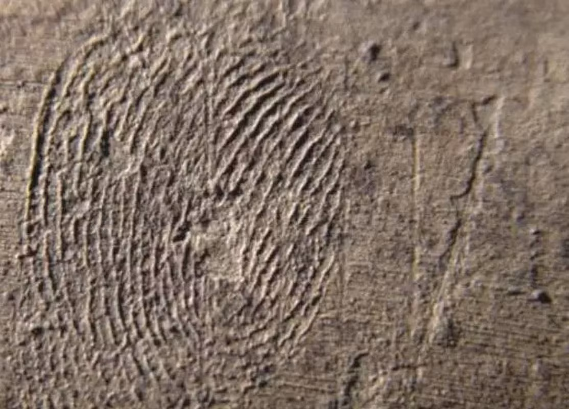 Trên bức tượng, các nhà khảo cổ đã phát hiện một dấu vân tay ở bụng, được xác định là dấu vân tay của nghệ nhân tạo ra bức tượng, đã tồn tại từ hơn 2.000 năm trước.