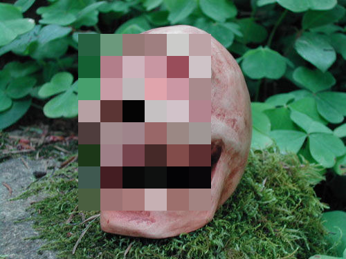 Được biết đến với tên gọi "còi tử thần", nó có nhiều mục đích trong văn hóa Aztec, từ sử dụng trong nghi lễ hiến tế đến làm vũ khí tâm lý để ảnh hưởng đối thủ trước cuộc chiến.