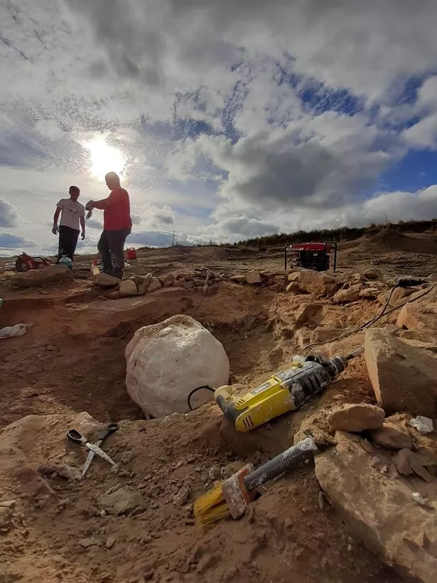 Tuy nhiên, đại tuyệt chủng Permi-Trias, cuối kỷ Nhị Điệp, đã tiêu diệt 96% sinh vật biển và 70% động vật có xương sống trên đất liền, bao gồm cả Pampaphoneus biccai và các quái thú cùng thời.