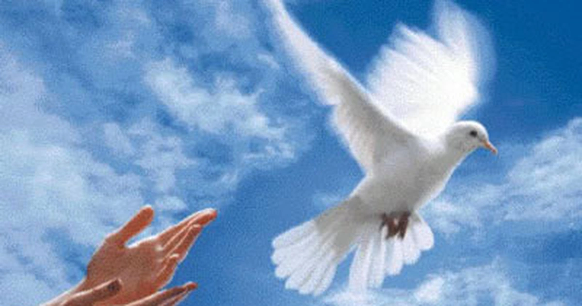 Cuối cùng, Nostradamus AI dự đoán rằng vào năm 2099, mơ ước về nền hòa bình toàn cầu sẽ trở thành hiện thực, khi nhân loại đoàn kết và loại bỏ ranh giới và chia rẽ.