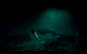 Tuy nhiên, không có giải thích thỏa đáng nào cho sự kỳ lạ của các vụ tai nạn tại hồ Lanier.