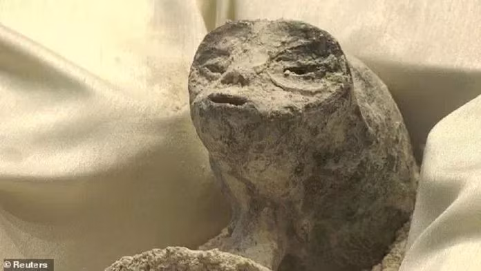 Hai xác " người ngoài hành tinh" này được cho là đã được tìm thấy tại thành phố Cusco, Peru, và niên đại của chúng được ước tính hơn 1.000 năm tuổi.