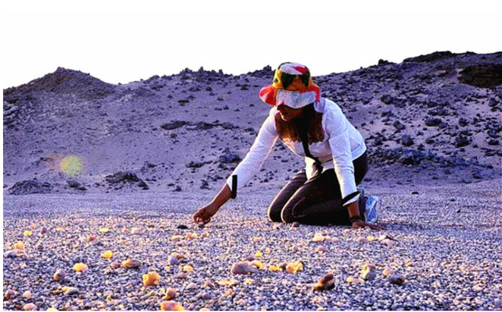 Các viên đá trong hồ Agate được hình thành từ sự phun trào núi lửa cách đó hơn 100 triệu năm. Sau đó, magma nguội lại tạo thành lỗ hổng, những lỗ này được ngâm trong dung dịch chứa silica và ngưng tụ để tạo ra các viên đá quý.