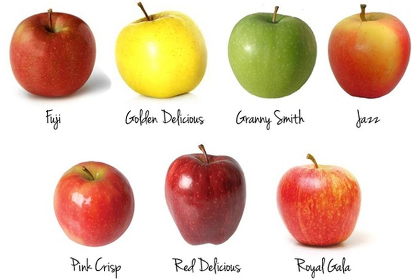 3. Có hơn 7.500 loại táo trên toàn thế giới, trong khi bạn chỉ có 7.300 ngày trong 20 năm. Điều này có nghĩa là nếu bạn muốn thử hết tất cả các loại táo, bạn có thể cần hơn 20 năm.