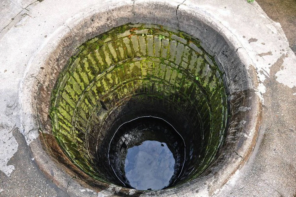 Môi trường giếng nước có thể thu hút rêu và côn trùng gây hại. Nuôi cá hoặc rùa trong giếng có thể giúp kiểm soát số lượng sinh vật này và duy trì chất lượng nước tốt.