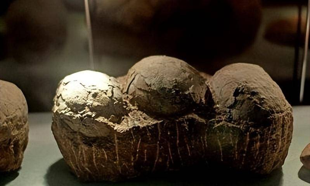 Dù nguồn gốc của những con rồng đá này vẫn chưa được xác định rõ ràng, chúng đã trở thành một điểm đến hấp dẫn cho du khách và câu chuyện về chúng đã thu hút sự quan tâm rộng rãi.