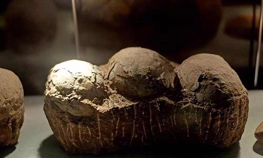 Dù nguồn gốc của những con rồng đá này vẫn chưa được xác định rõ ràng, chúng đã trở thành một điểm đến hấp dẫn cho du khách và câu chuyện về chúng đã thu hút sự quan tâm rộng rãi.