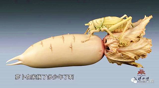 Quan trọng hơn, do làm từ ngà voi và việc buôn bán ngà voi quý hiếm bị nghiêm cấm bởi chính phủ, vì vậy, việc bán cây củ cải trên có thể dẫn đến xử lý theo luật.