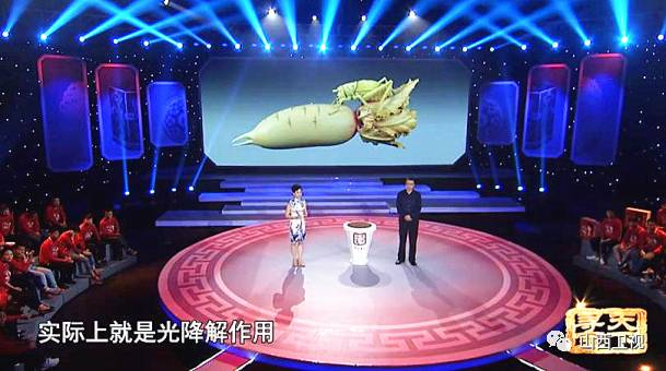 Tuy nhiên, do không được bảo quản đúng cách, màu đỏ của nó đã dần phai và trở thành màu trắng ban đầu. Cây "củ cải" này được xác định là một cổ vật tinh tế có giá trị lớn.